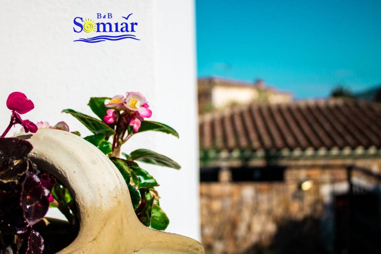 B&B Somiar San Teodoro  Exterior photo